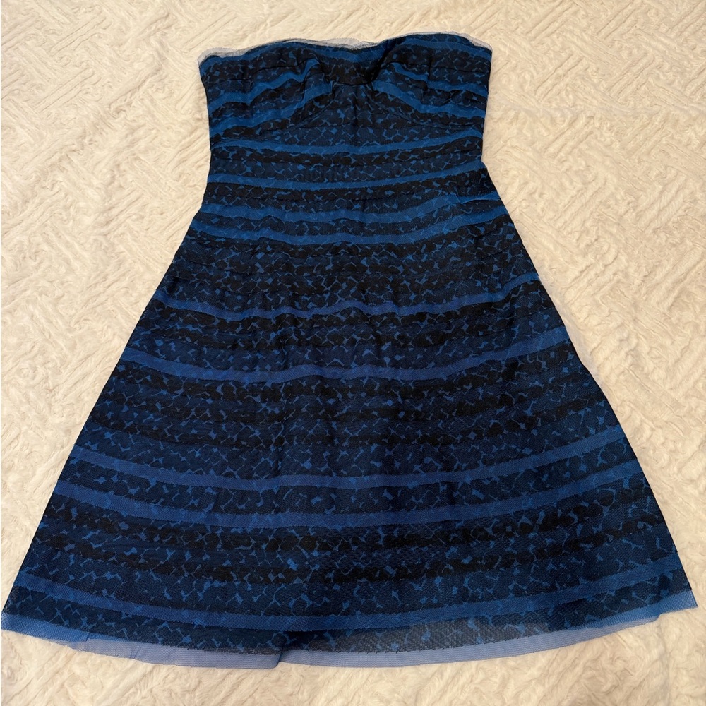 BCBGMaxAzria Strapless Dress in Navy and Black